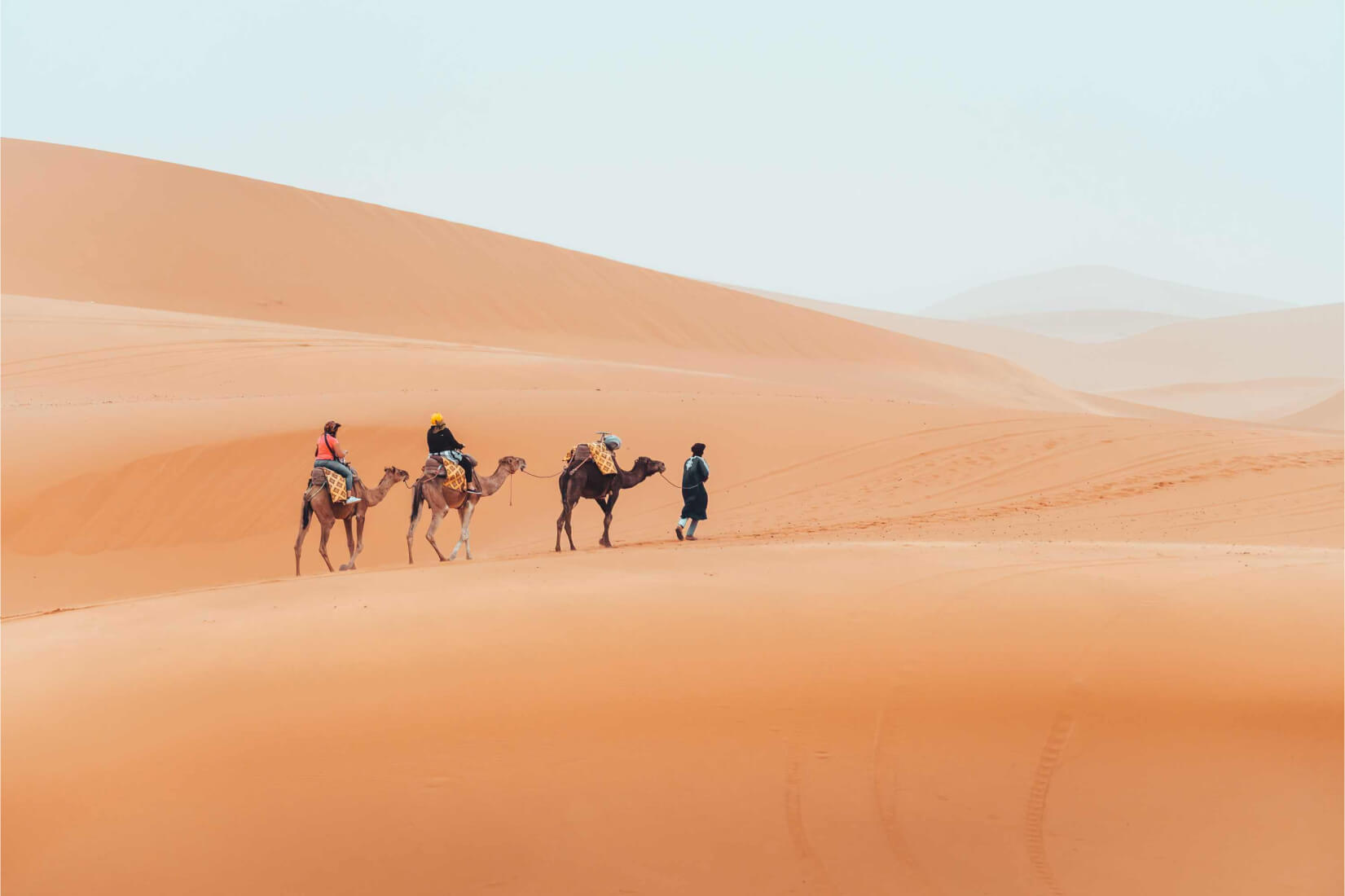 camel trek with tourists through the sahara desert LUGSGLT 2