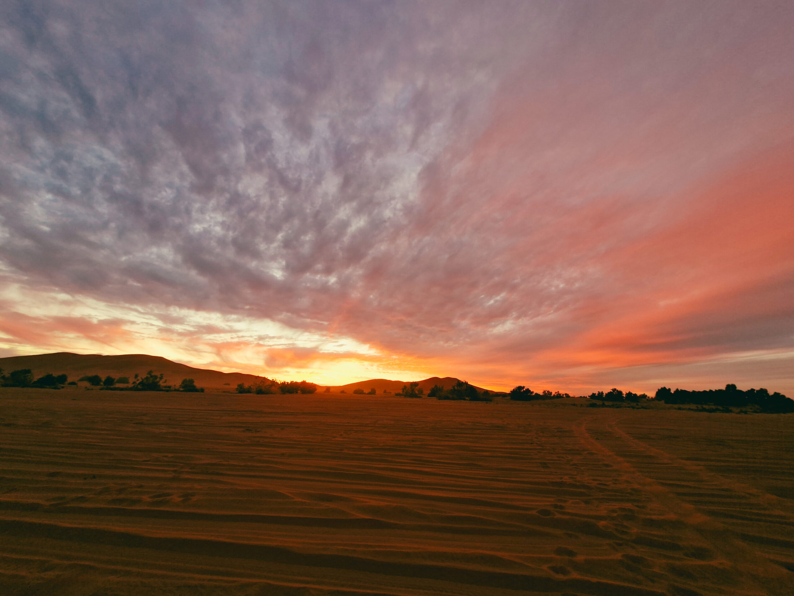 desert sunset