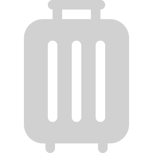 icon luggage 2