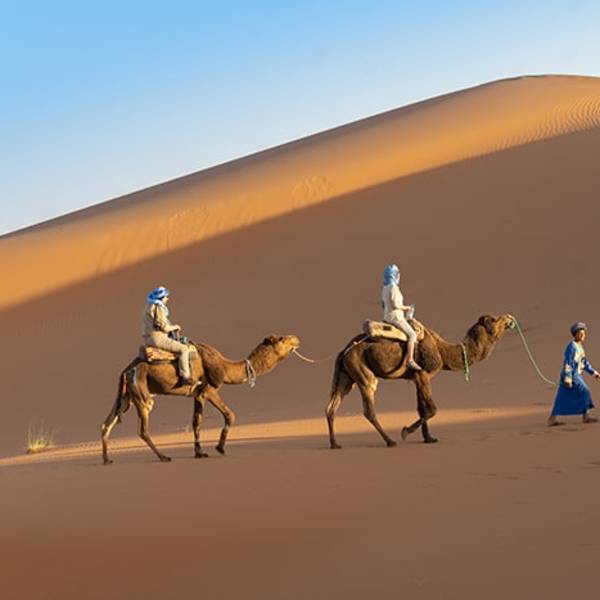 Desert Camel Trek morocco
