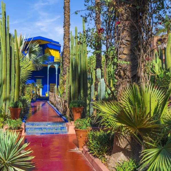 Majorelle Gardens morocco